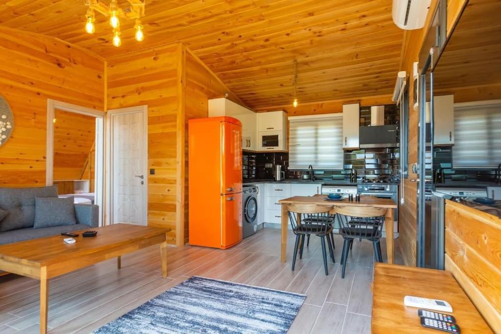 Villa Zeytin Havuzlu Jakuzili フェティエ エクステリア 写真