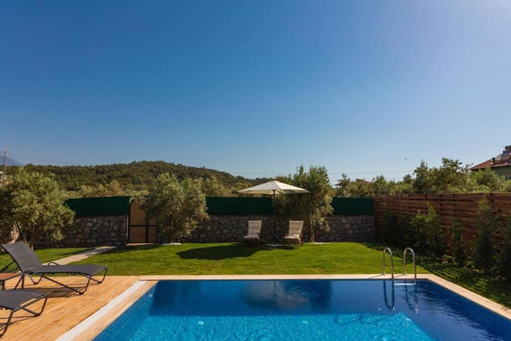 Villa Zeytin Havuzlu Jakuzili フェティエ エクステリア 写真