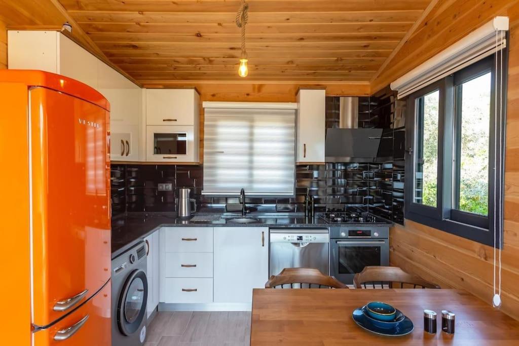 Villa Zeytin Havuzlu Jakuzili フェティエ エクステリア 写真